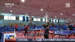 bwin 高质量儿童木质游乐设施的关键要素分析。